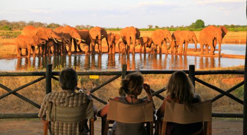 spirit of kenya safaris reviews
